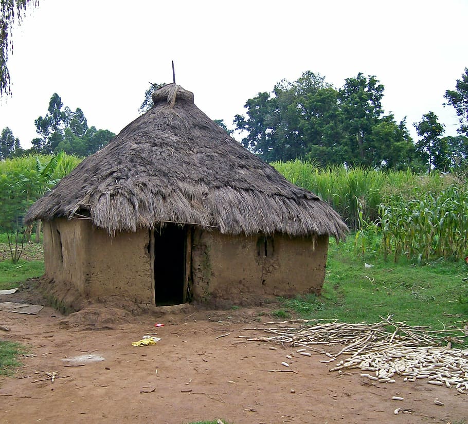 hut, kenya, africa, clay, primitive, architecture, tribe, rural Scene, thatched Roof, cultures