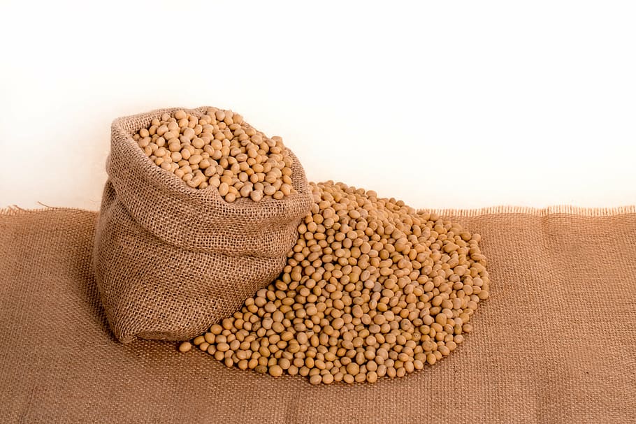 feed with sack, soybeans, plants, seeds, bag, burlap, grain, oil, beans, seed