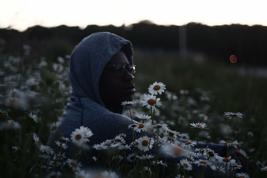 man, grey, hoodie, sitting, white, chamomile field, blue, picking, flower, daytime