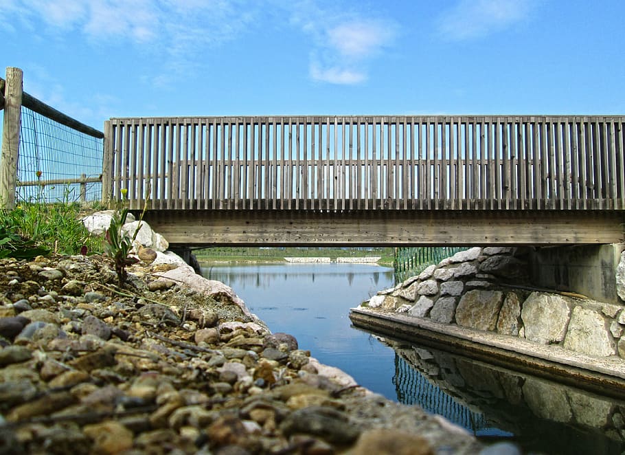 ponte, lago, natureza, água, relaxamento, parque natural, ponte - estrutura feita pelo homem, rio, agua, arquitetura