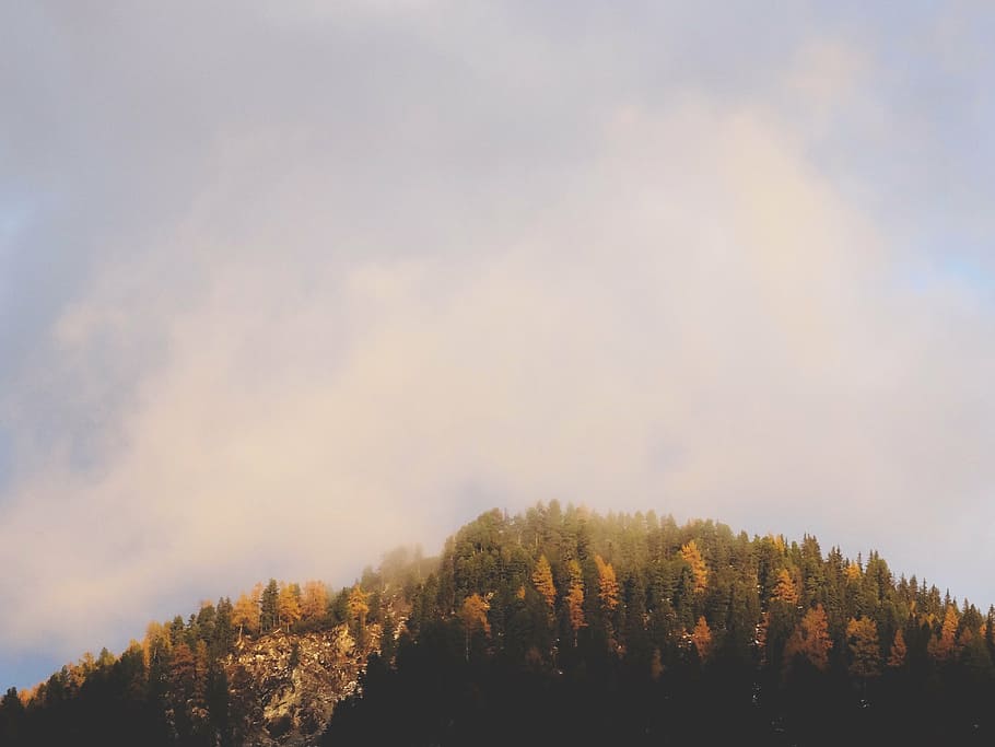 green, brown, trees, hill, white, cloudy, sky, foggy, mountain, clouds