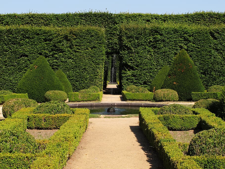 green leafed plants, garden, french, castle, boxwood, beech, hedges, cordès, orcival, france