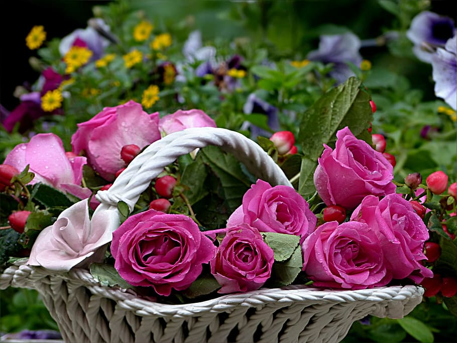 pink, rose, flower arrangement, white, basket, Rose, Pink, Flower Bowl, flower, colorful, beautiful