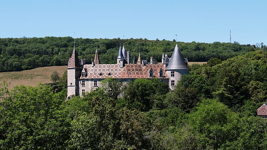 castles, castle, the rochepot, burgundy, france, blue, sky, heritage, côte-d'or, tree