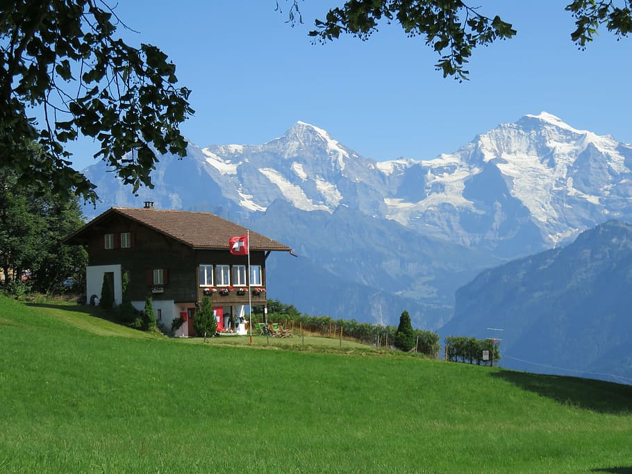 brown, house, grass field, mountain, background, alpine, mountains, panorama, switzerland, blue