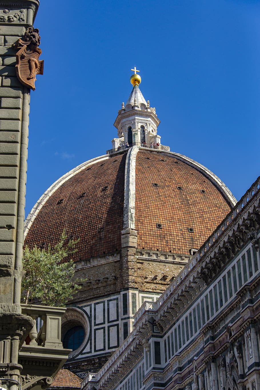 cúpula, florencia, italia, cosimo, iglesias, europeo, histórico,  arquitectura, monumento, iglesia | Pxfuel