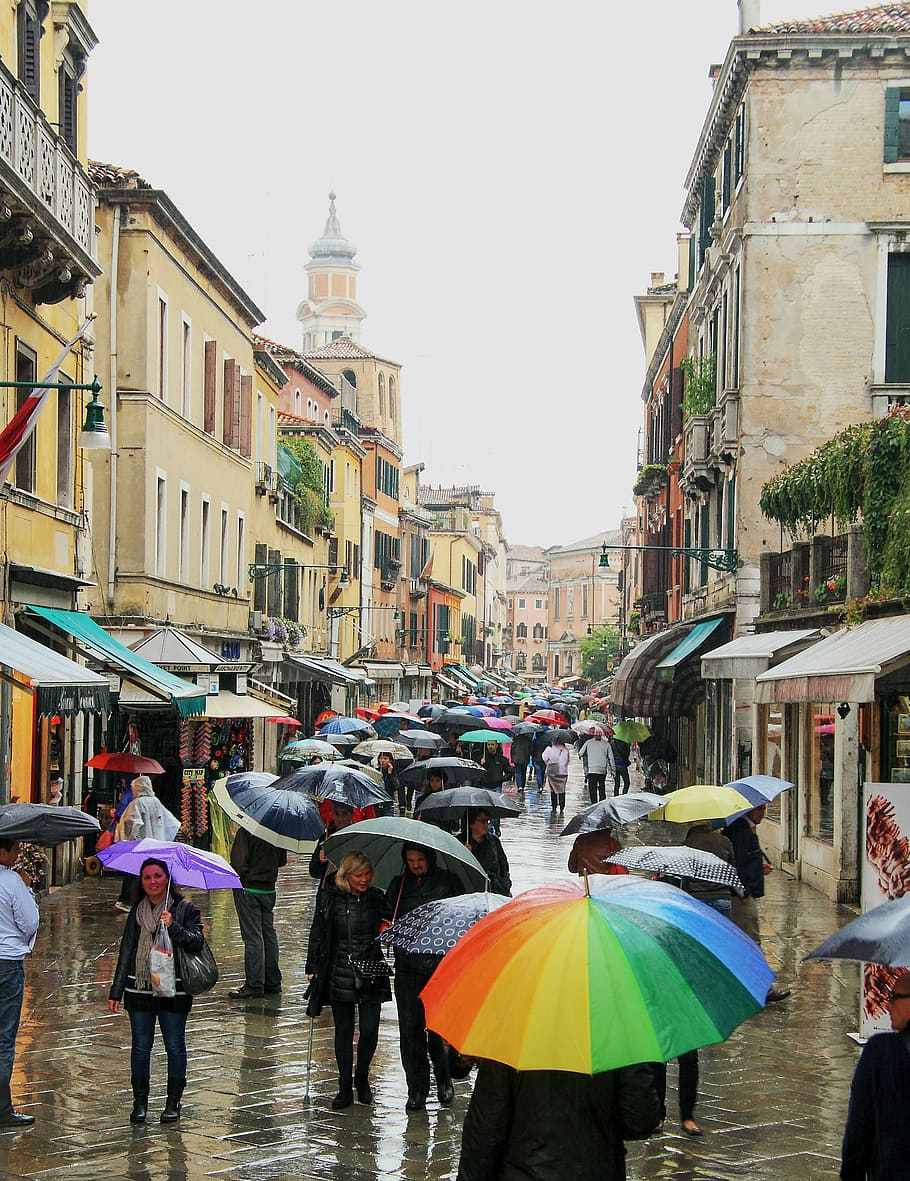 people holding umbrella, venice, umbrellas, it rains, people, via, walk, city, italy, time