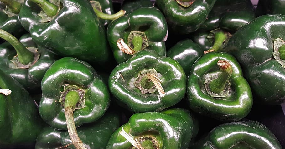 poblano, poblano peppers, peppers, mild peppers, chiles, chili, chile relleno, mild, spicy, heat