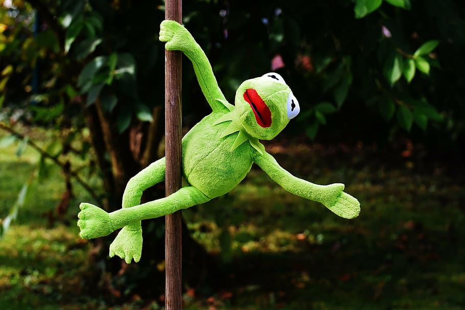 kermit, frog, plush, toy, pole dance, funny, soft toy, animal, toys, stuffed animal