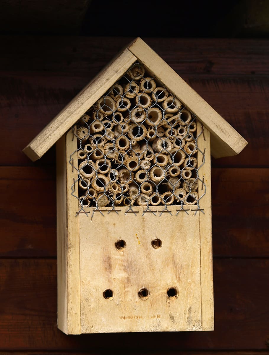 Insect Hotel, House, insect, insect house, insect box, insect protection measures, wood - material, honeycomb, bee, close-up