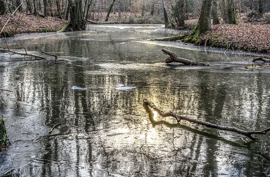 frozen, lake, ice, ice rink, cold, sun, mirroring, reflection, forest, aesthetic