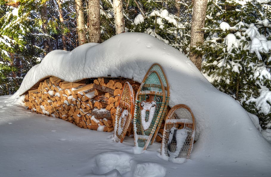 winter, snowshoes, snow, wood, cold temperature, nature, land, day, covering, tree