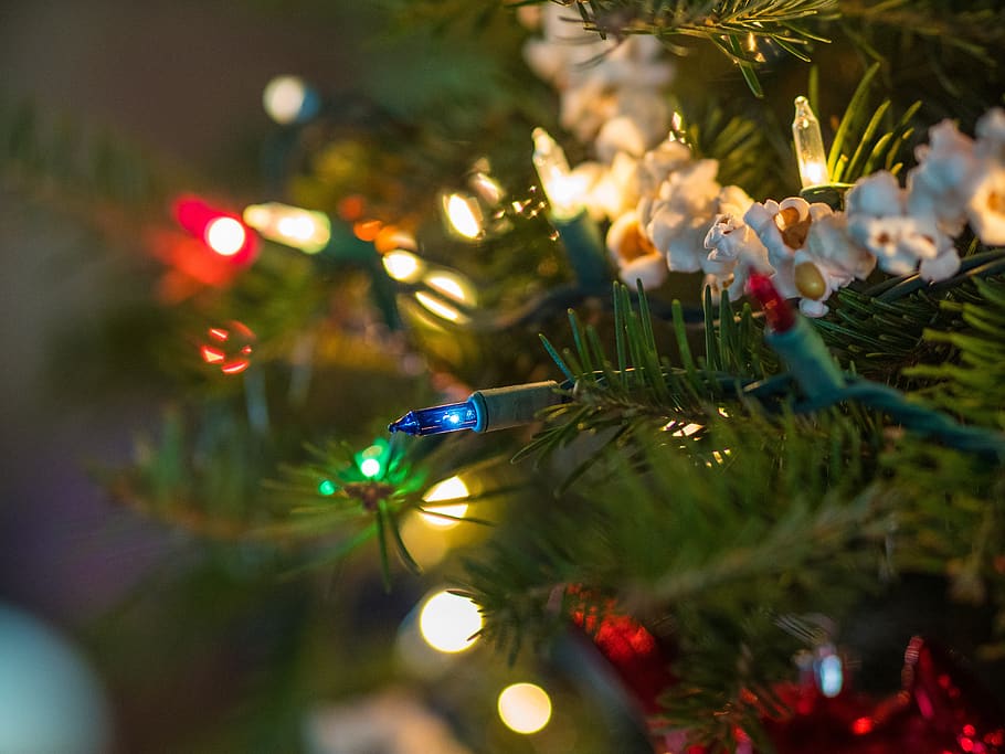 christmas, tree, light, d, decoration, christmasbackground, advent, holiday, xmas, december