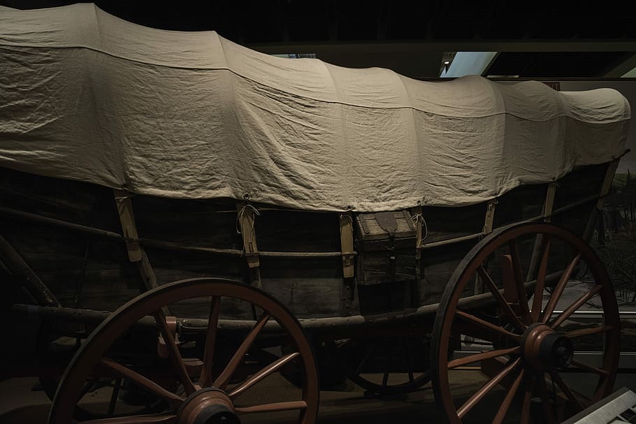 covered, wagon, tennessee museum, Covered Wagon, Tennessee, Museum, historic, public domain, travel, carriage