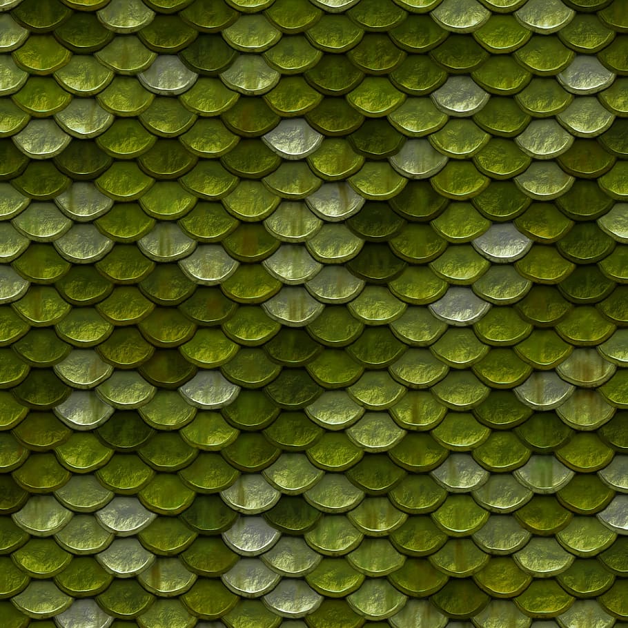 зеленая рыбья чешуя, фоновое изображение, чешуя, зеленая, цветная, металлическая, узор, полный кадр, фоны, зеленый цвет