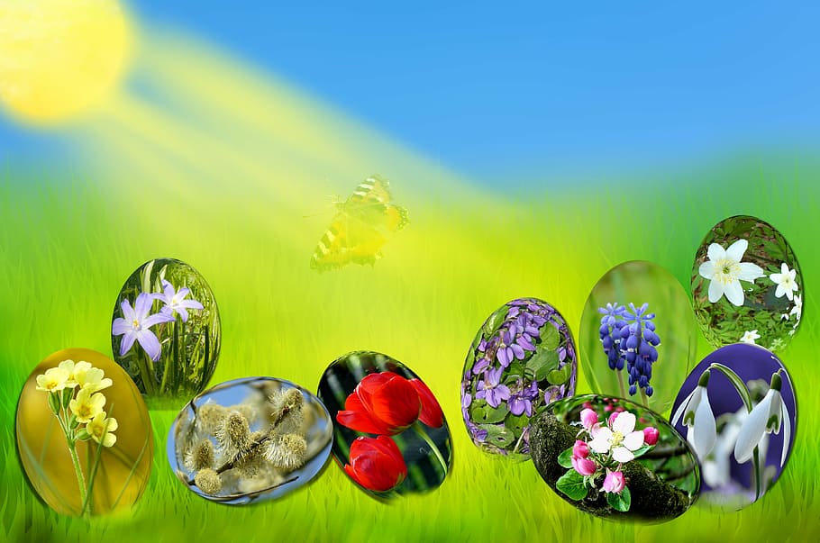 easter, eggs, spring, sun, grass, green, sky, blue, light, primrose