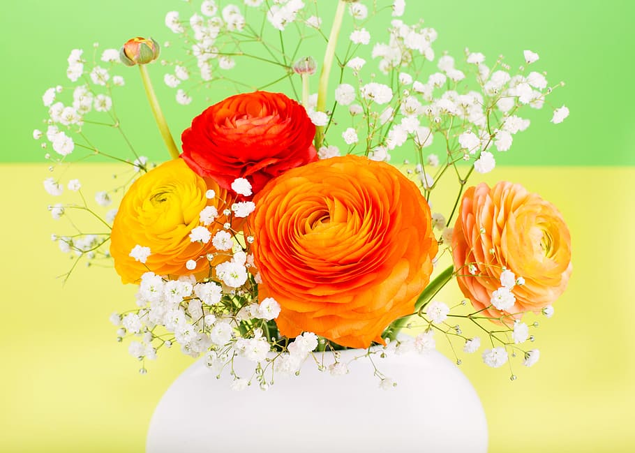 orange, ranunculus flowers, white, baby, breath flowers centerpiece, closeup, photography, flower, ranunculus, flower vase