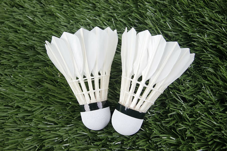 badminton, sport, shuttlecock, green color, grass, plant, white color, high angle view, nature, day