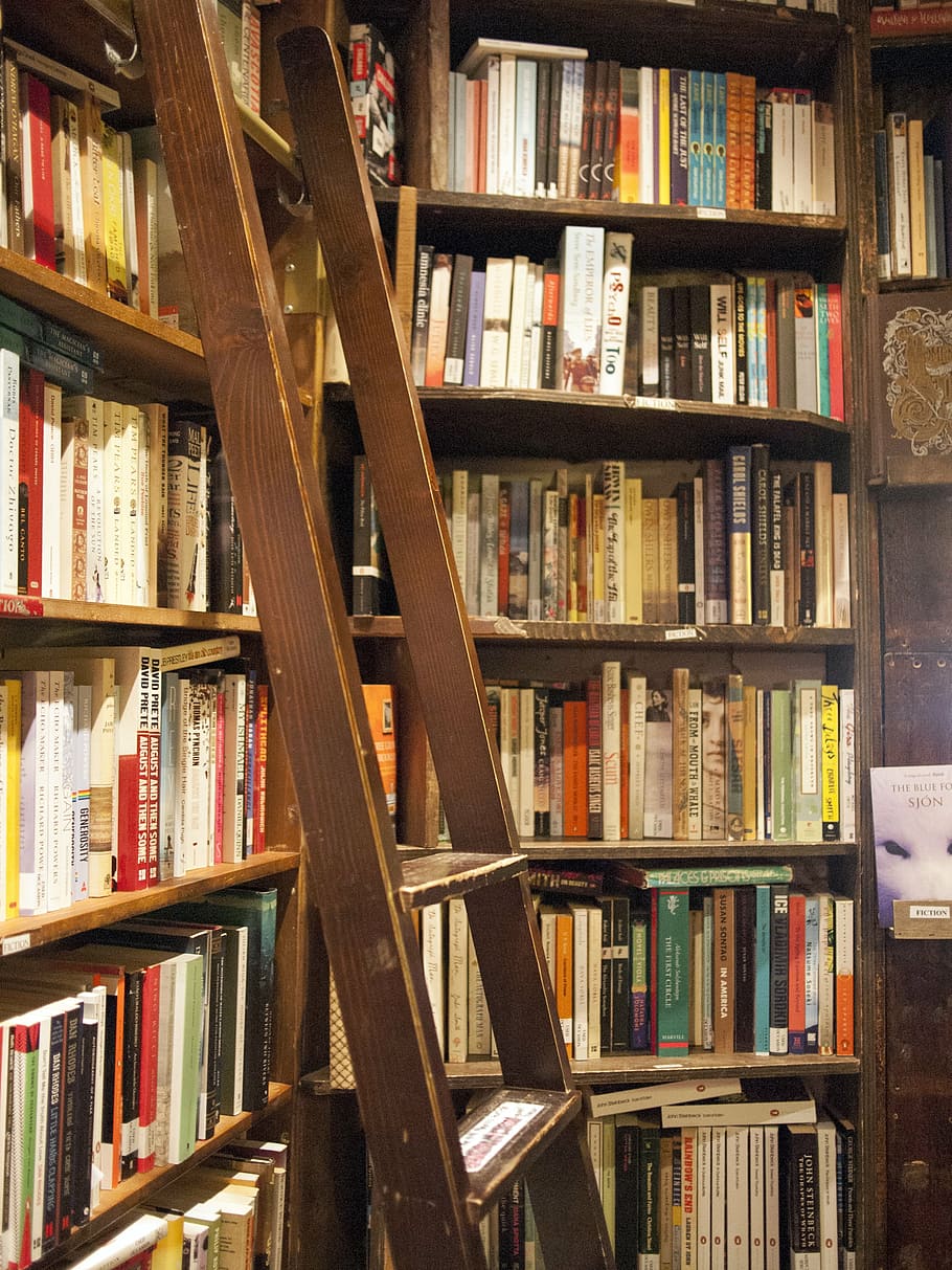 brown, wooden, ladder, shelf, france, paris, bookstore, book, bookshelves, book drive