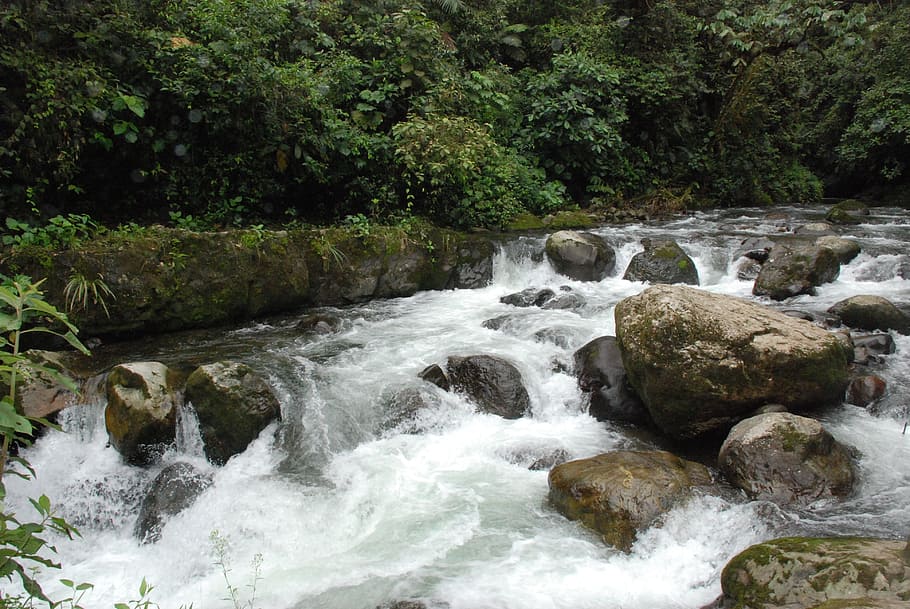 滝, 水域, 川, 自然, インド, 水, 自然の美しさ, 岩, モーション, 風景-自然