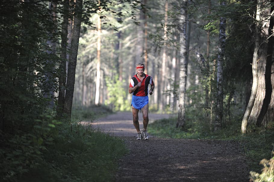 man, running, woods, Runner, Old, Man, Forest, Finland, old, competition, jogging