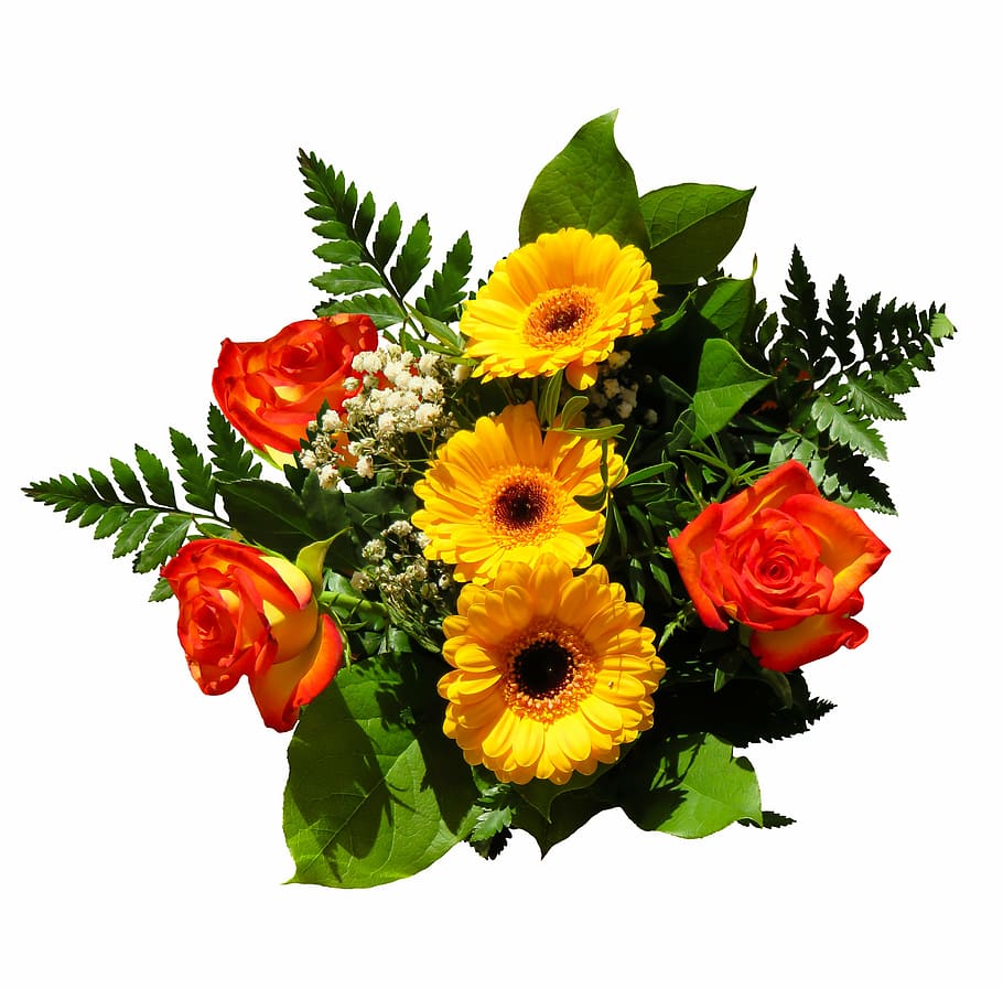 sunflower, roses bouquet, flowers, bouquet, birthday bouquet, love, joy, give, rose, gerbera