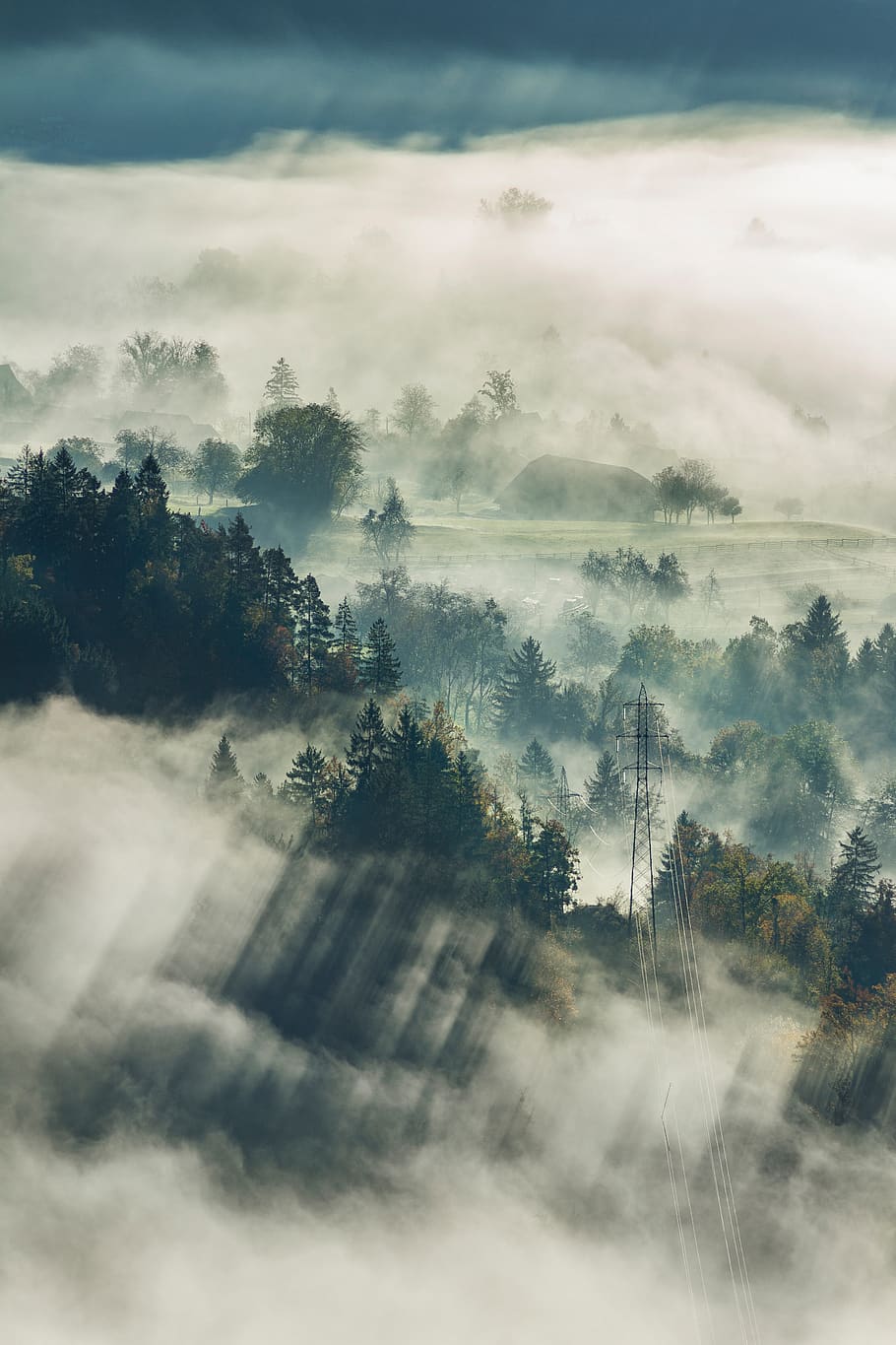 fog, trees, plant, nature, mountain, highland, cloud, landscape, tree, tranquility