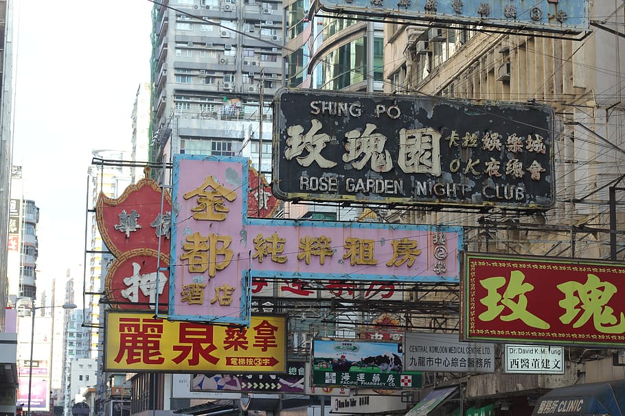 rose, garden night club signboard, Rose Garden, Night Club, signboard, hong kong, china, city, chinese, asian