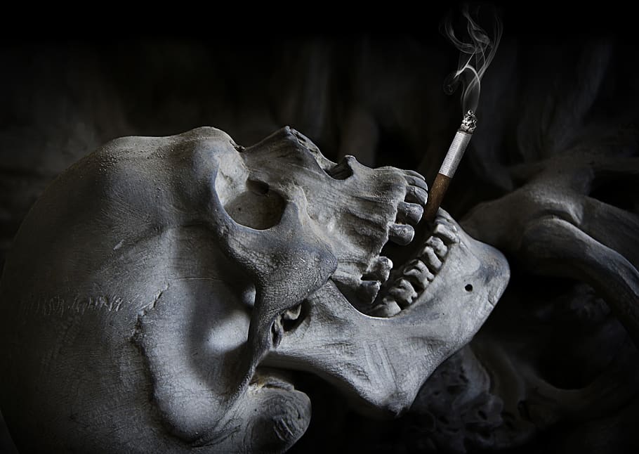 tengkorak, rokok, kematian, tengkorak dan tulang bersilang, halloween, menyeramkan, kengerian, undead, merokok, asap rokok
