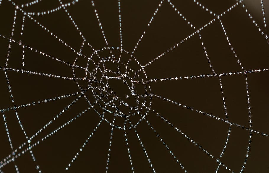 web, nature, water, drops, broken, pattern, backgrounds, close-up, crime, glass - material