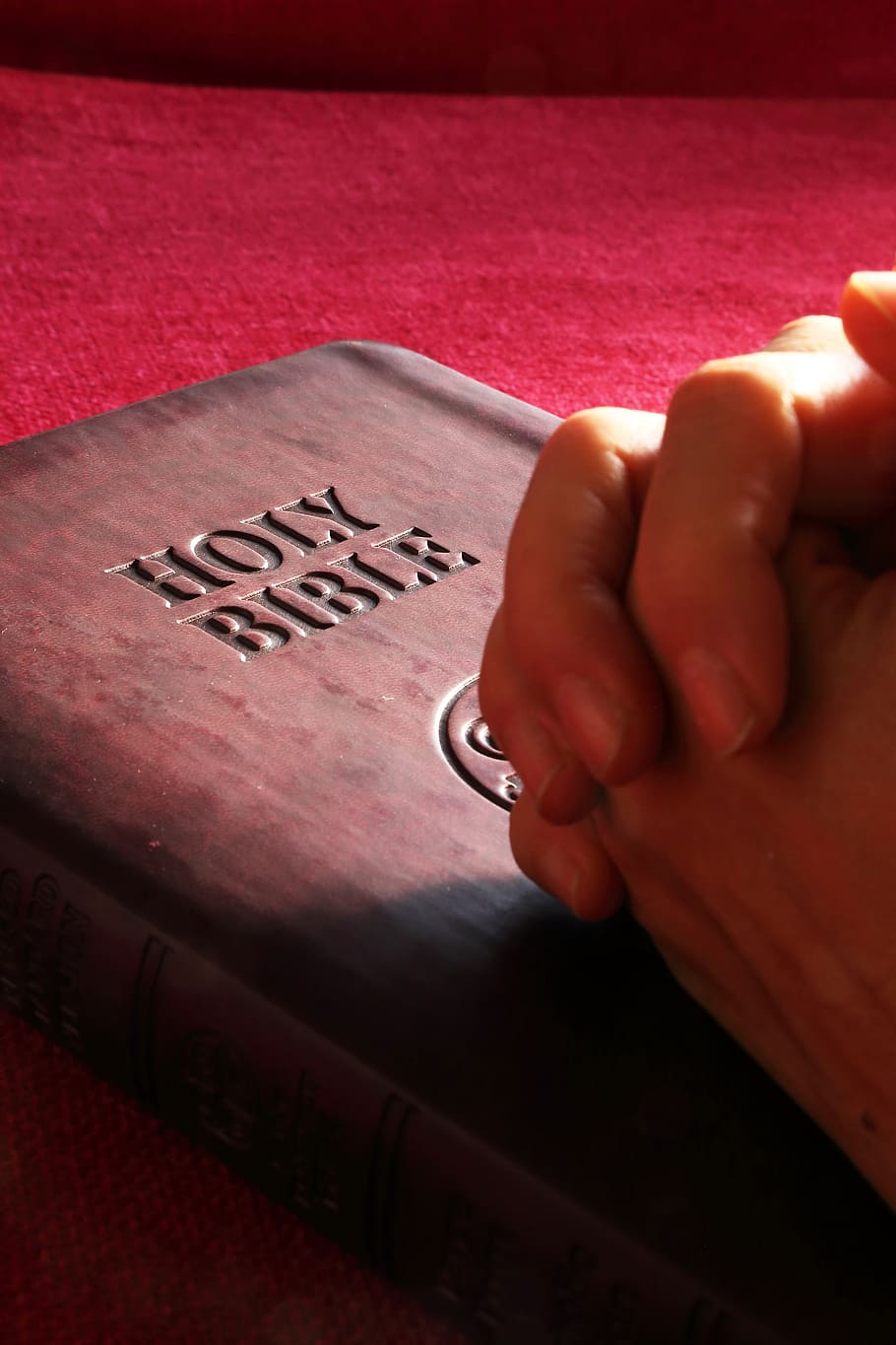 person, hands, holy, bible, pray, prayer, religion, book, god, christianity