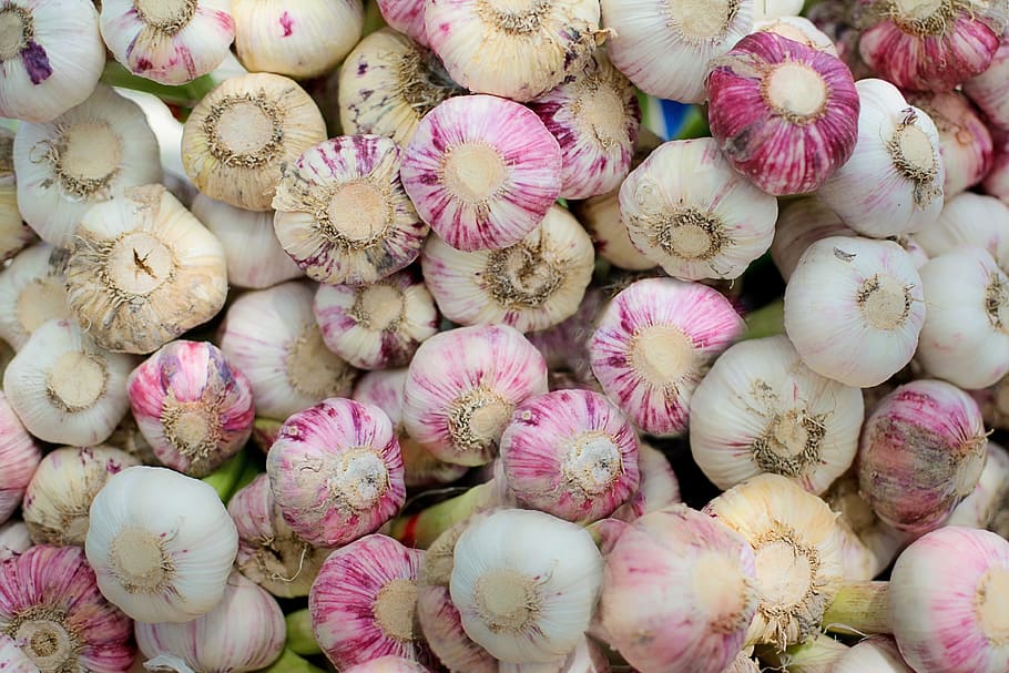 white, pink, garlic lot, garlic, fresh, herb, farmer's market, food, natural, vegetable