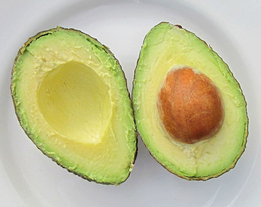 avocado fruit, avocado, fruit, vegetable, green, seed, vitamins, good, healthy, tasteful