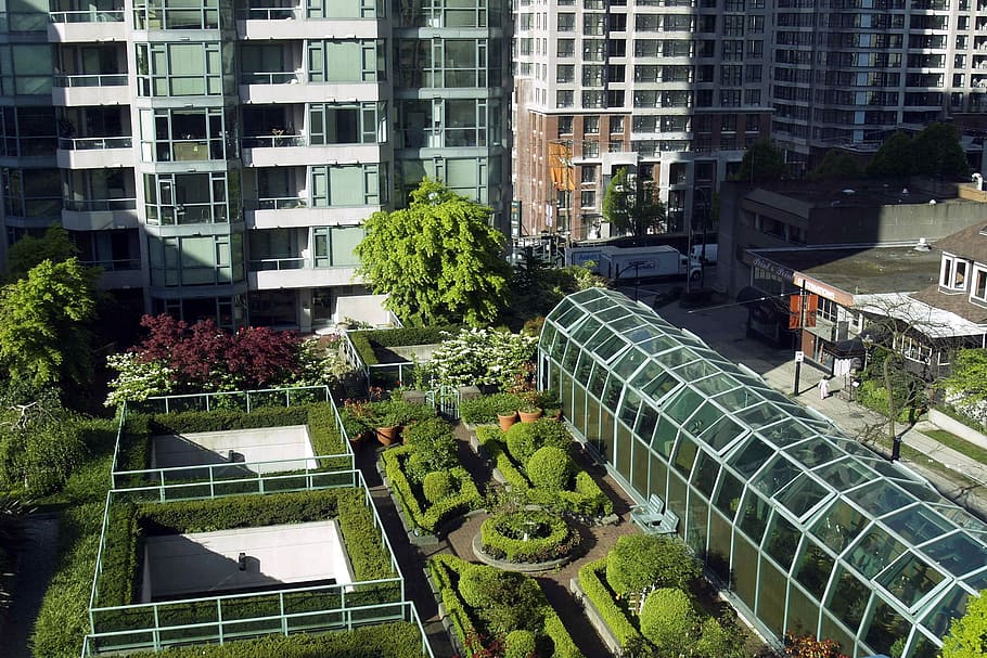 aerial, view, garden, roof, plants, trees, flowers, building, vancouver, british columbia