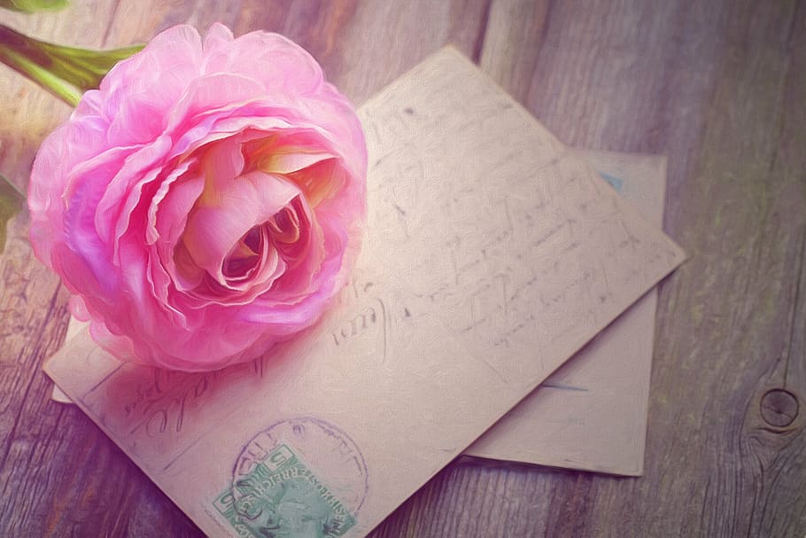 pink, petaled flower, brown, letter card, painting, rose, cards, picture postcards, vintage, bouquet