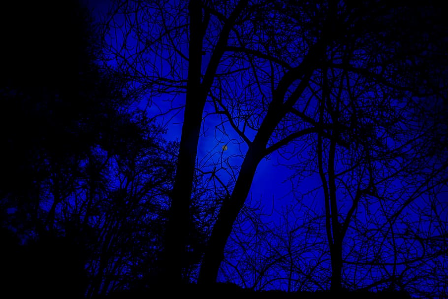 fotografía nocturna, luna llena, cielo nocturno, luna, noche, cielo, larga exposición, oscuro, luces, mística