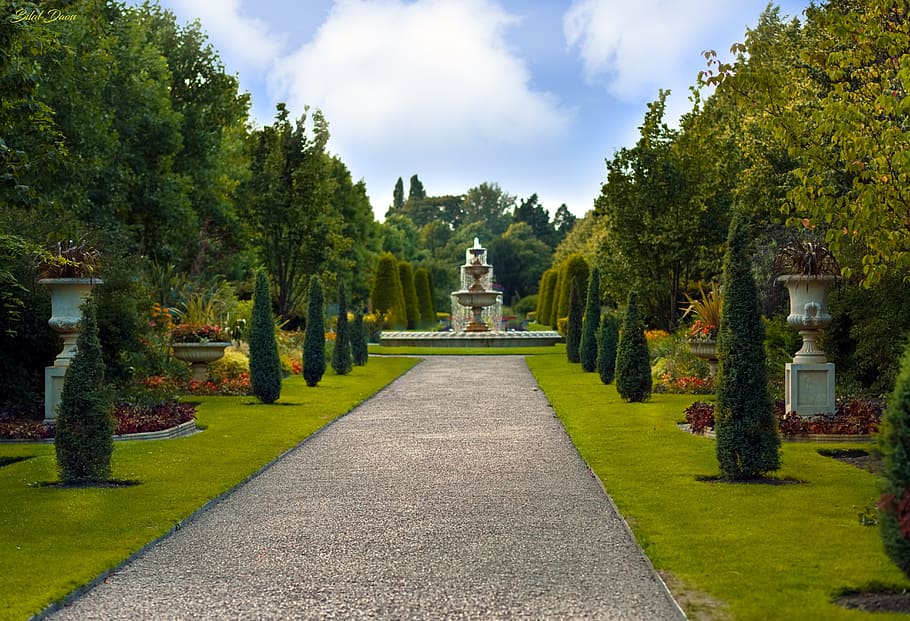 landscape photography, water fountain, surrounded, trees, white, sky, royal garden, garden, regents park, plant