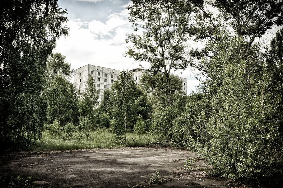 white, concrete, building, trees, daytime, pripyat, chernobyl, tree, plant, architecture