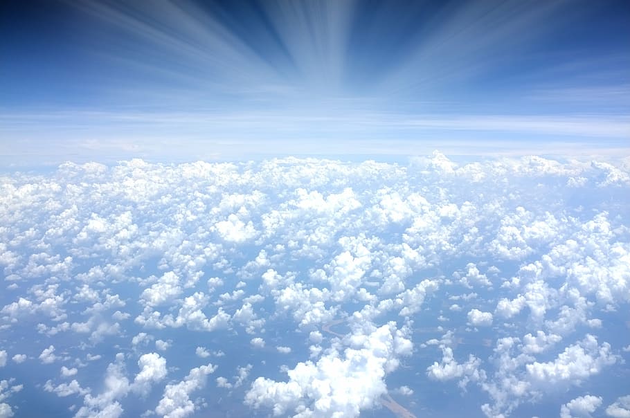 pássaro, vista aérea, nuvens, fechar, foto, branco, acima das nuvens, céu, azul, aérea