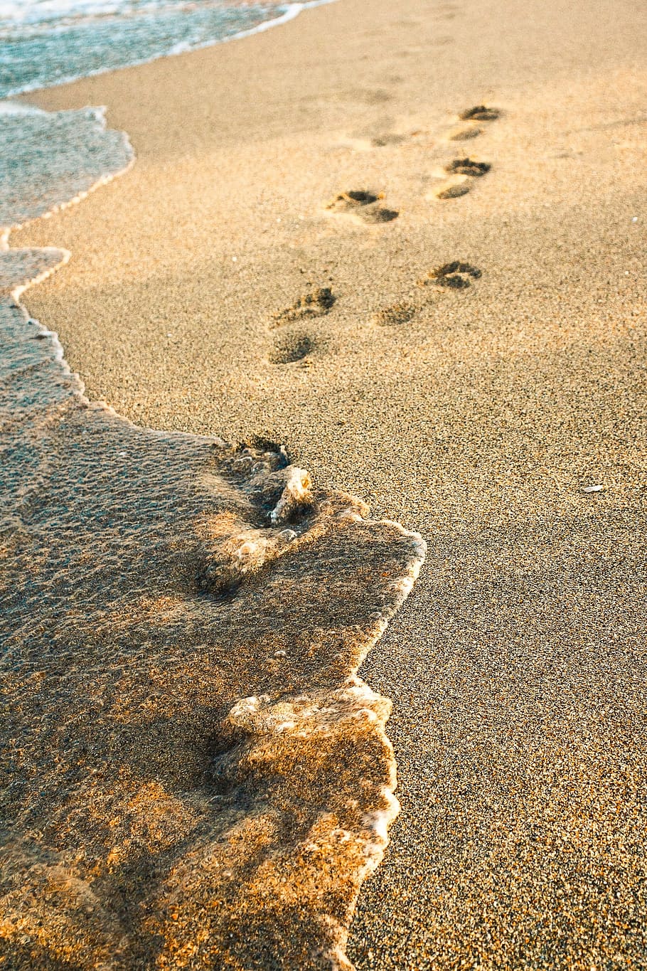 Sand, Great, Water, Seaside, great, water, summer, beach, footprint, nature, paw print