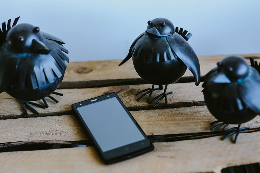 pequeño, negro, pájaros de plástico, teléfono inteligente, estante, Pequeño negro, plástico, pájaros, móvil, pájaro