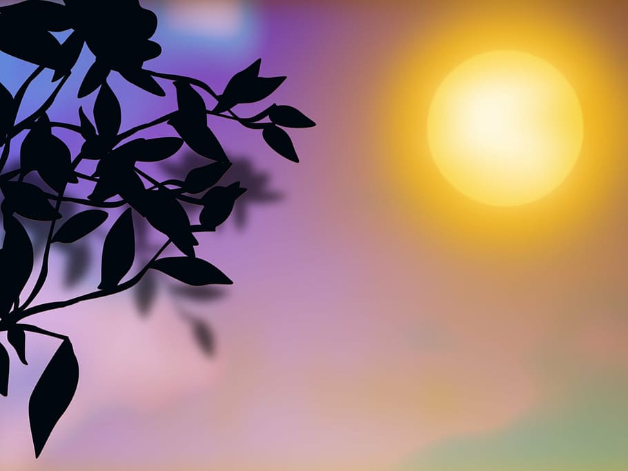 leaf silhouette, sun painting, graphics, sunset, purple, nature, autumn leaves, light shade, backlit, peace