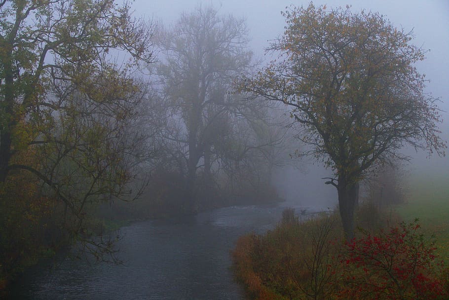 fog, landscape, water, diffuse, river, bach, waters, morning, atmosphere, romantic