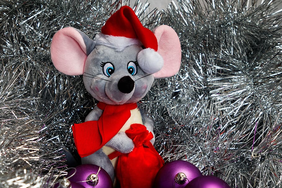 Nochevieja, mascota, el símbolo del nuevo año 2020, ratón, rata, juguete, joyas, invierno, año nuevo, fotos navideñas