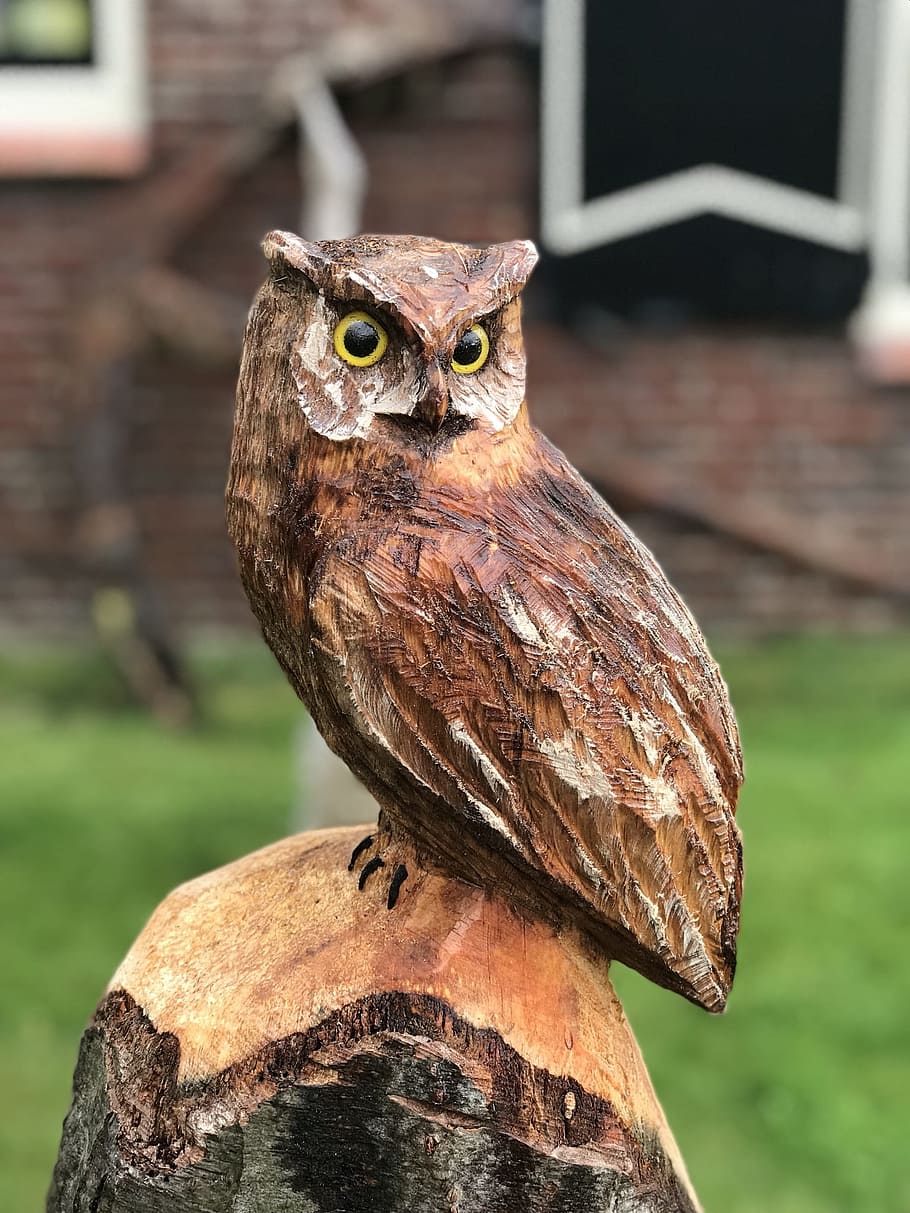 フクロウ, 木彫り, フィギュア, 前景, 脊椎動物, 鳥, 動物のテーマ, 1匹の動物, 動物, 猛禽