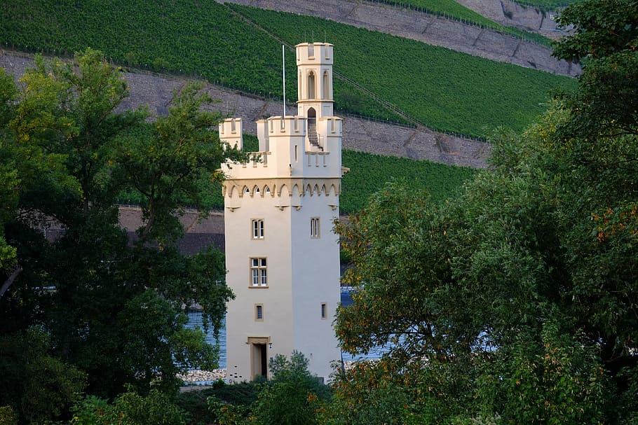 mouse tower, bingen, tower, old, historically, imposing, historic home, places of interest, high, facade