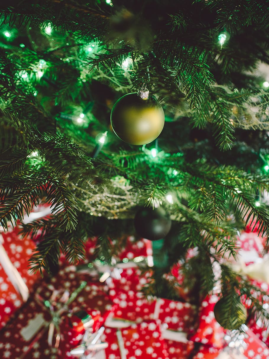 natal, árvore, luzes, decorações, enfeites, festivo, feriados, presentes, embrulho, laços