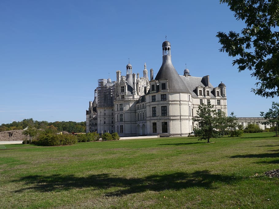 chambord, outside, castle, françois 1er, architecture, built structure, building exterior, grass, sky, plant