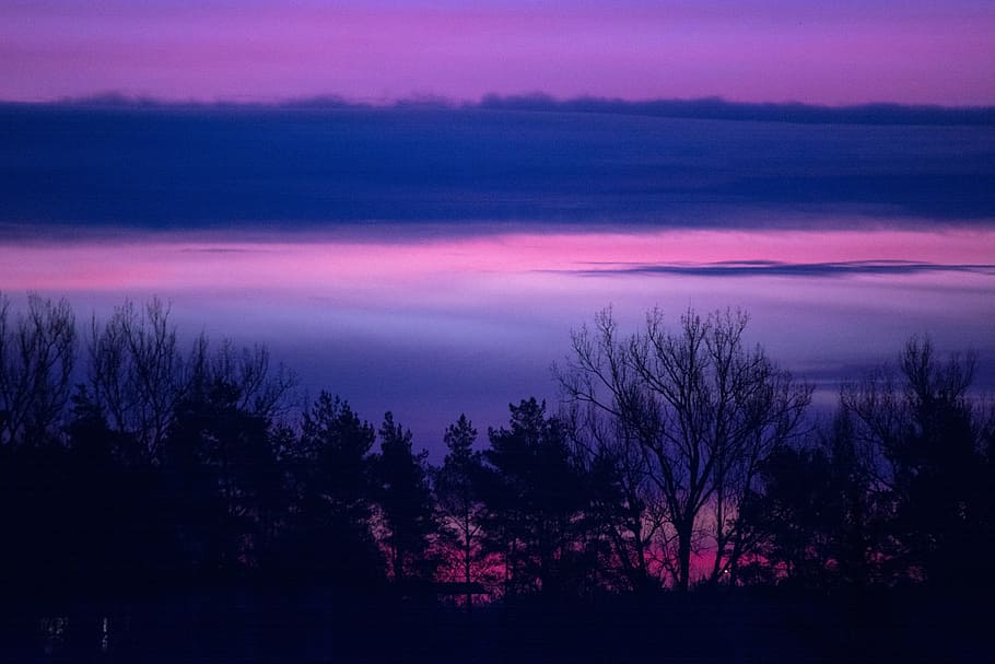 fotografía de silueta de árbol, puesta de sol, fotografía, amanecer, mañana, paisaje, naturaleza, árboles, cielo, nubes