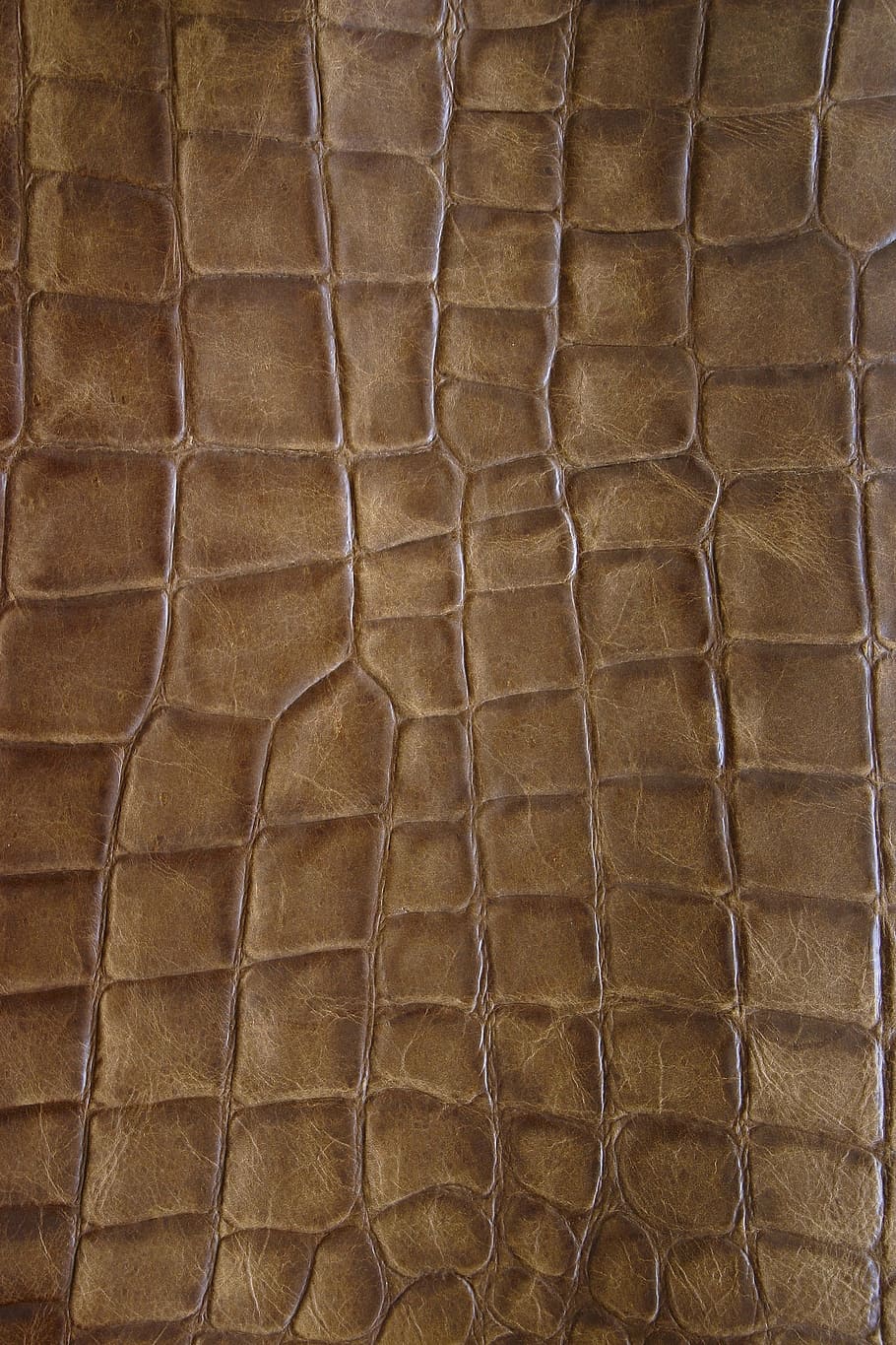 Brown, Leather, Structure, Detail, brown leather, textured, backgrounds, animal skin, material, textured effect